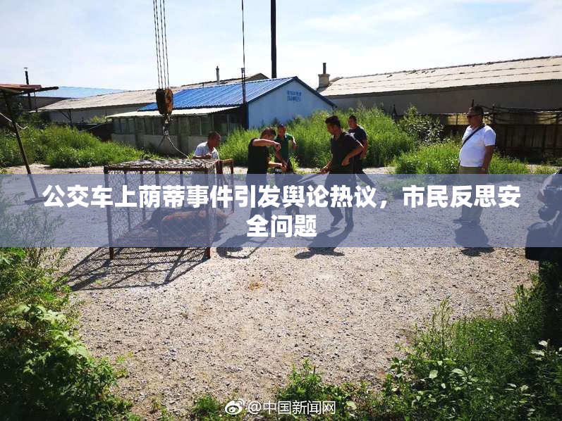 公交车上荫蒂事件引发舆论热议，市民反思安全问题
