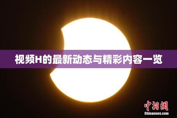 视频H的最新动态与精彩内容一览