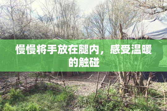 慢慢将手放在腿内，感受温暖的触碰