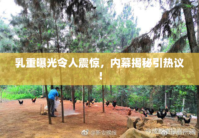 乳重曝光令人震惊，内幕揭秘引热议！