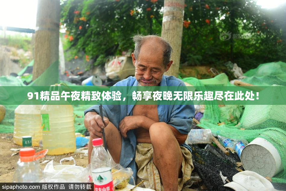 91精品午夜精致体验，畅享夜晚无限乐趣尽在此处！