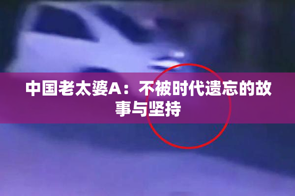中国老太婆A：不被时代遗忘的故事与坚持