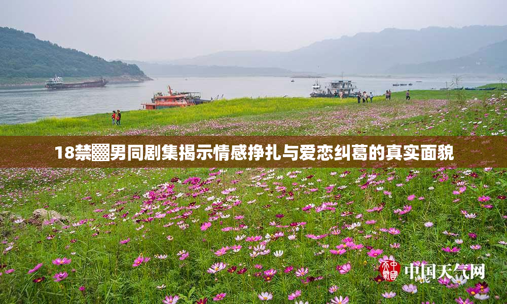 18禁▓男同剧集揭示情感挣扎与爱恋纠葛的真实面貌