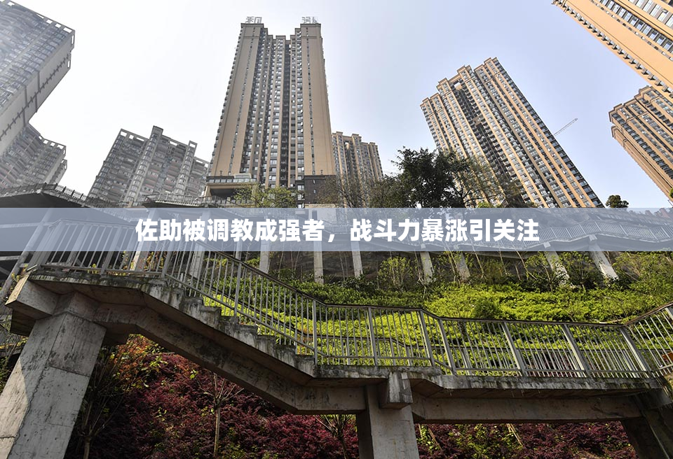 佐助被调教成强者，战斗力暴涨引关注