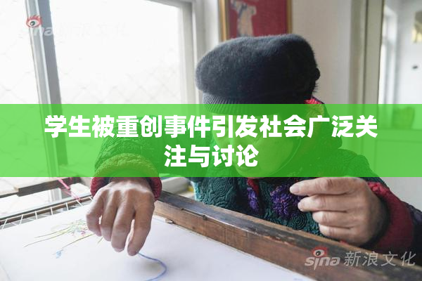 学生被重创事件引发社会广泛关注与讨论