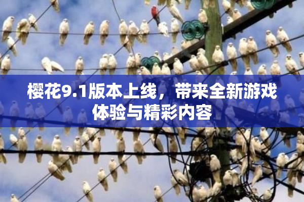 樱花9.1版本上线，带来全新游戏体验与精彩内容