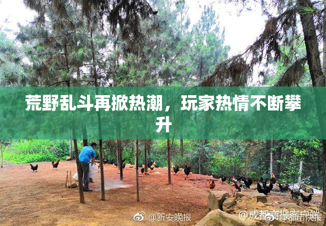 荒野乱斗再掀热潮，玩家热情不断攀升
