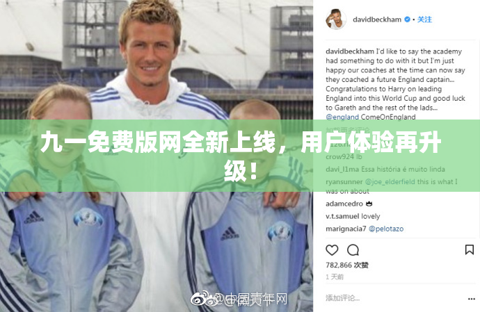 九一免费版网全新上线，用户体验再升级！