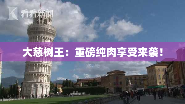 大慈树王：重磅纯肉享受来袭！