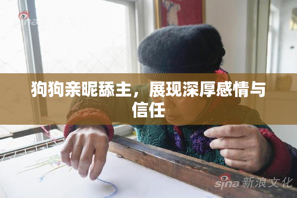狗狗亲昵舔主，展现深厚感情与信任