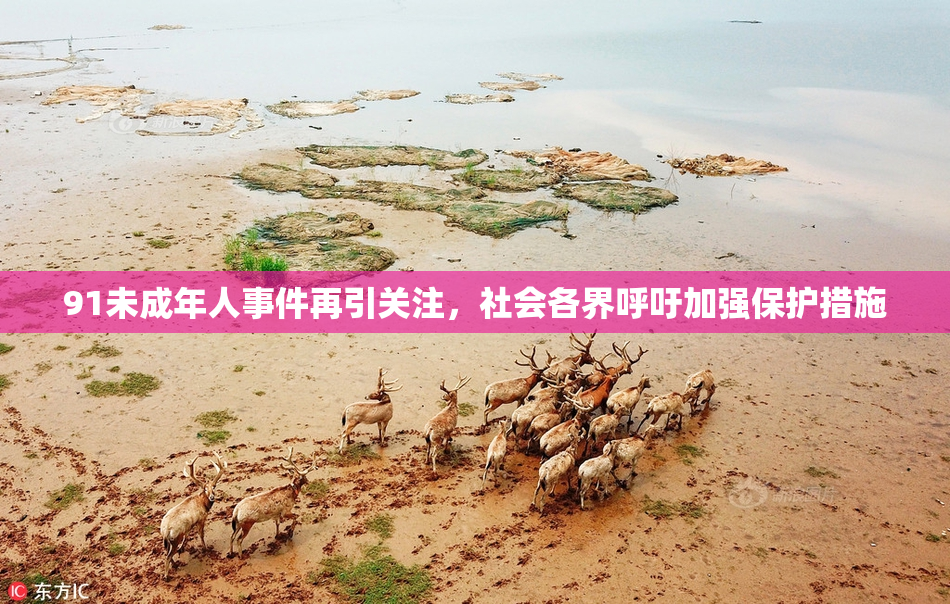 91未成年人事件再引关注，社会各界呼吁加强保护措施