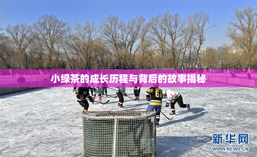 小绿茶的成长历程与背后的故事揭秘