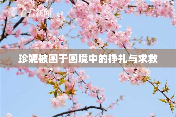 珍妮被困于困境中的挣扎与求救