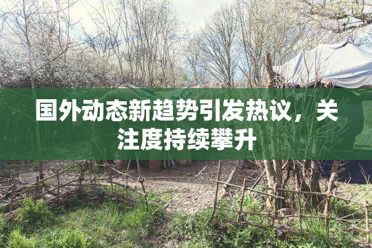 国外动态新趋势引发热议，关注度持续攀升