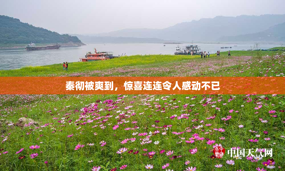 秦彻被爽到，惊喜连连令人感动不已