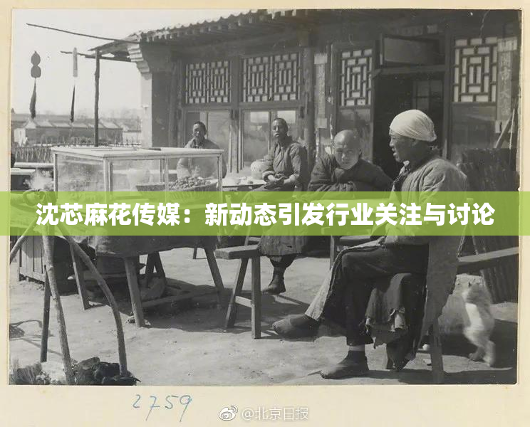 沈芯麻花传媒：新动态引发行业关注与讨论