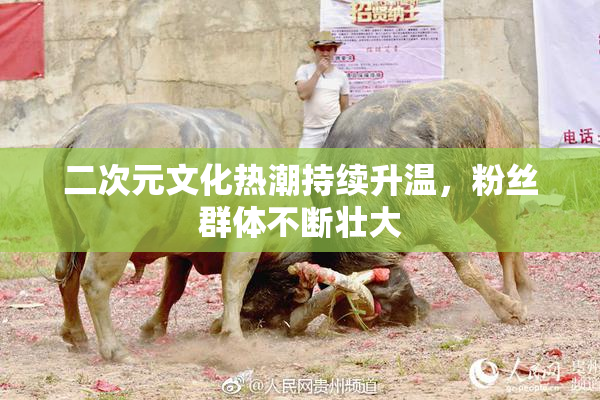 二次元文化热潮持续升温，粉丝群体不断壮大
