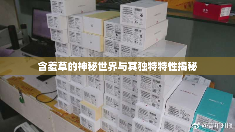 含羞草的神秘世界与其独特特性揭秘
