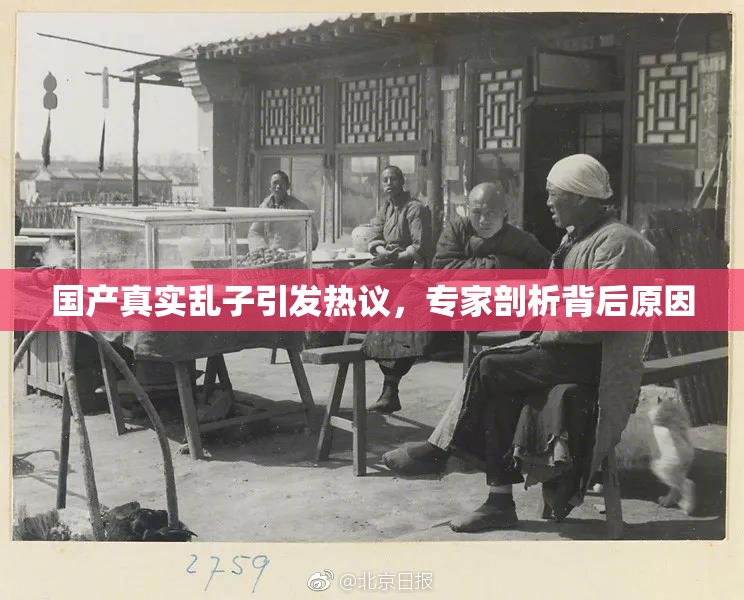 国产真实乱子引发热议，专家剖析背后原因