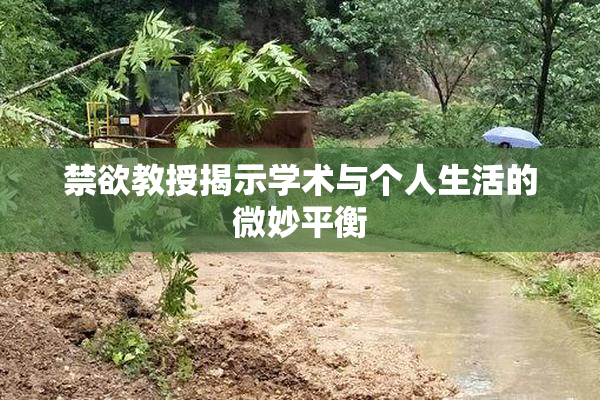禁欲教授揭示学术与个人生活的微妙平衡