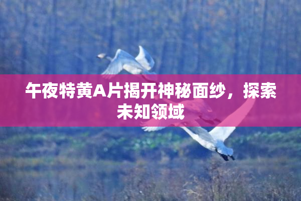 午夜特黄A片揭开神秘面纱，探索未知领域