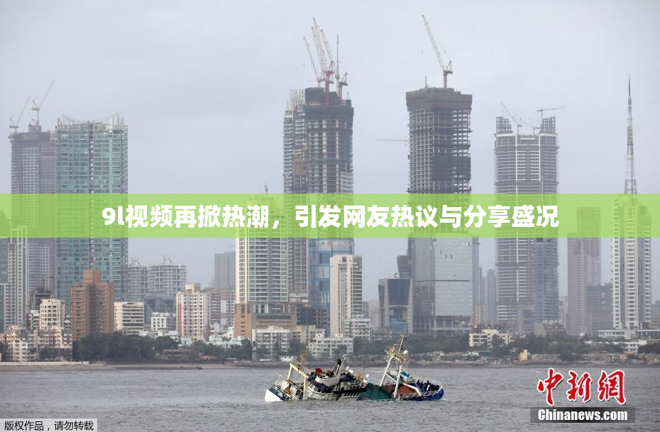 9l视频再掀热潮，引发网友热议与分享盛况