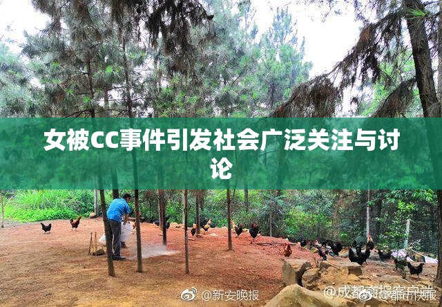 女被CC事件引发社会广泛关注与讨论