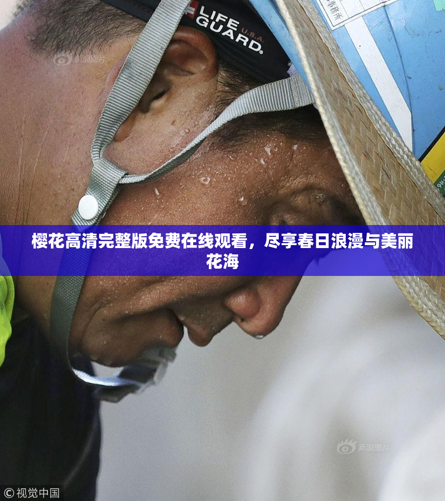 樱花高清完整版免费在线观看，尽享春日浪漫与美丽花海