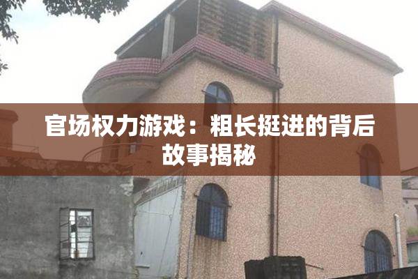 官场权力游戏：粗长挺进的背后故事揭秘