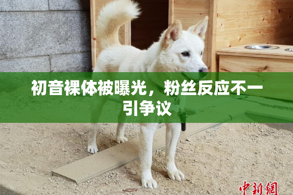 初音裸体被曝光，粉丝反应不一引争议