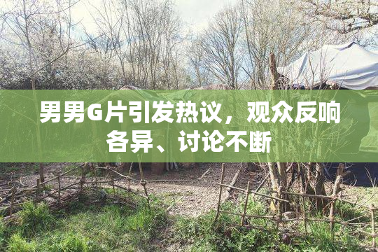 男男G片引发热议，观众反响各异、讨论不断