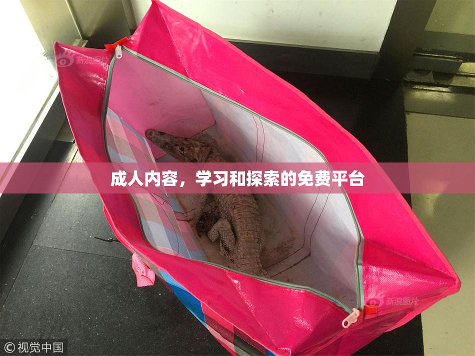成人内容，学习和探索的免费平台