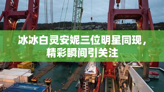 冰冰白灵安妮三位明星同现，精彩瞬间引关注