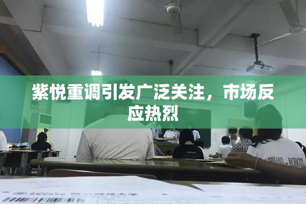 紫悦重调引发广泛关注，市场反应热烈