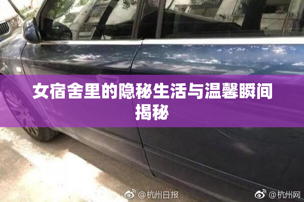 女宿舍里的隐秘生活与温馨瞬间揭秘