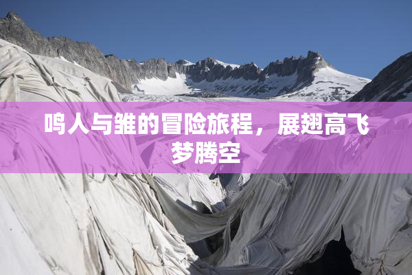 鸣人与雏的冒险旅程，展翅高飞梦腾空