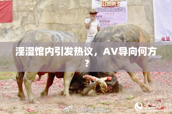 淫湿馆内引发热议，AV导向何方？