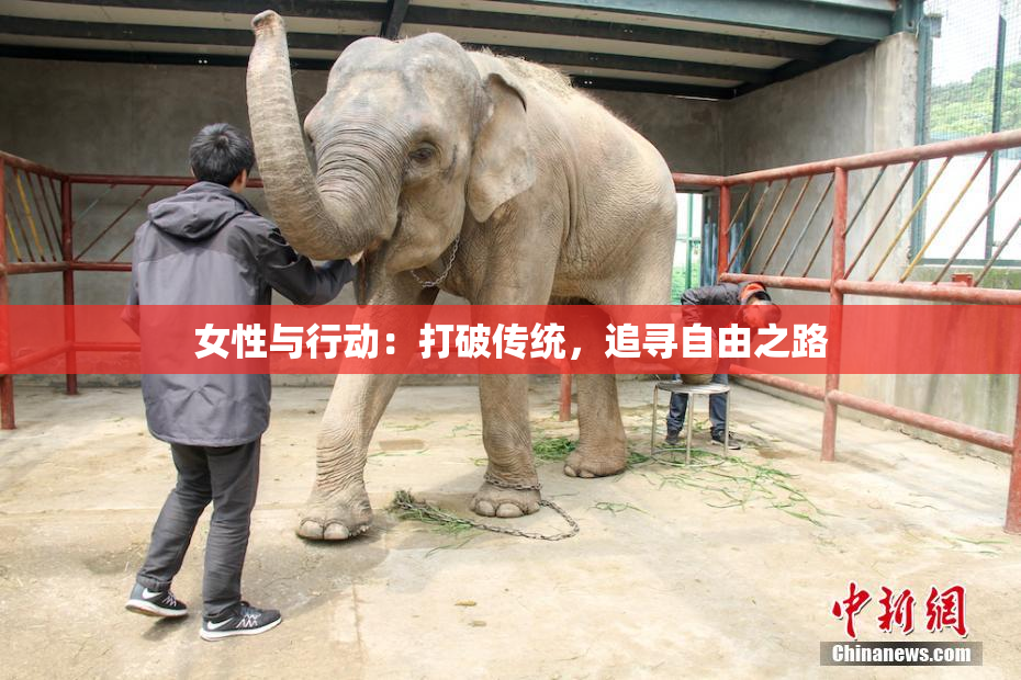 女性与行动：打破传统，追寻自由之路