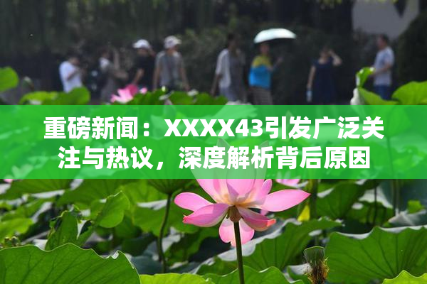 重磅新闻：XXXX43引发广泛关注与热议，深度解析背后原因