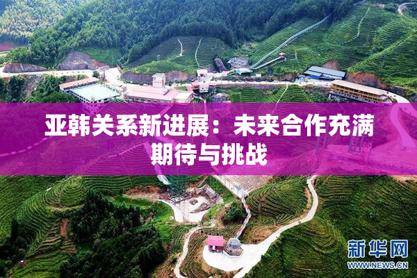 亚韩关系新进展：未来合作充满期待与挑战
