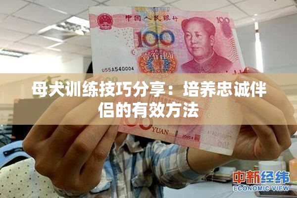 母犬训练技巧分享：培养忠诚伴侣的有效方法