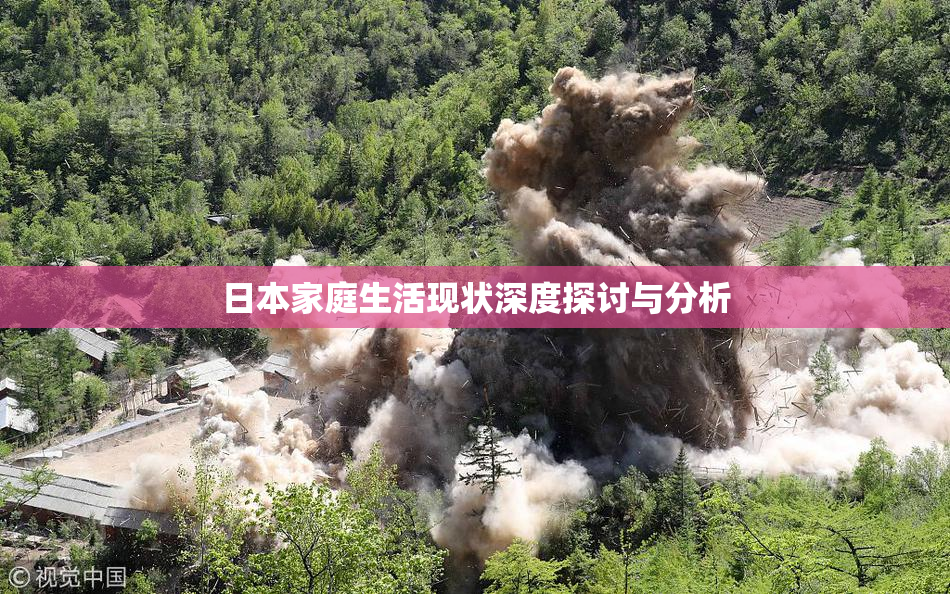 日本家庭生活现状深度探讨与分析