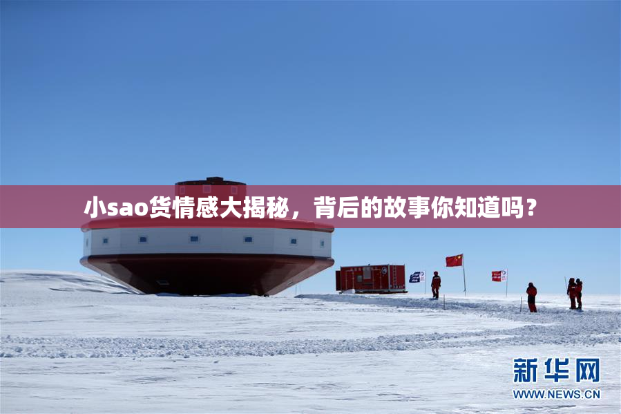小sao货情感大揭秘，背后的故事你知道吗？