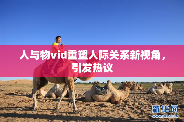 人与物vid重塑人际关系新视角，引发热议