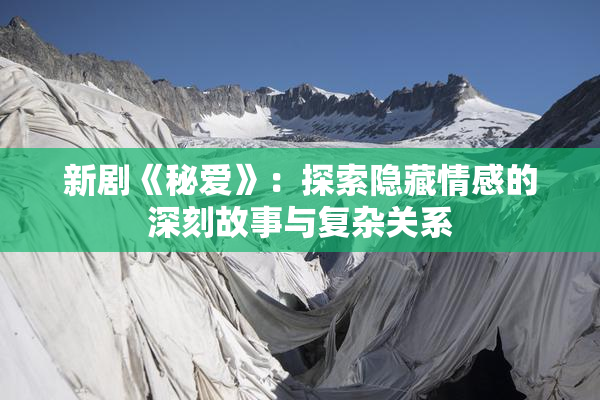 新剧《秘爱》：探索隐藏情感的深刻故事与复杂关系