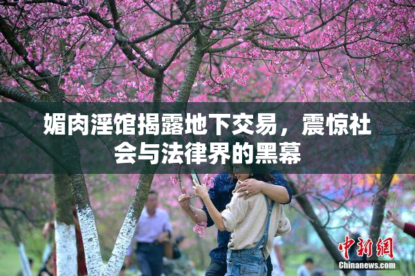 媚肉淫馆揭露地下交易，震惊社会与法律界的黑幕