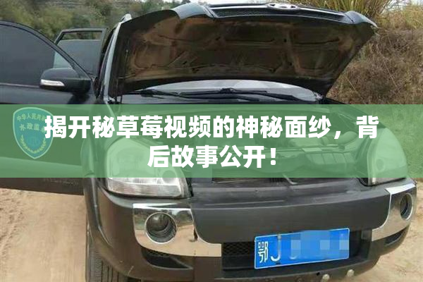 揭开秘草莓视频的神秘面纱，背后故事公开！