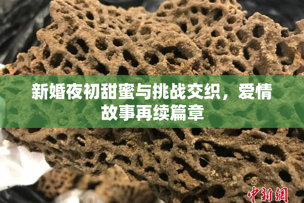 新婚夜初甜蜜与挑战交织，爱情故事再续篇章