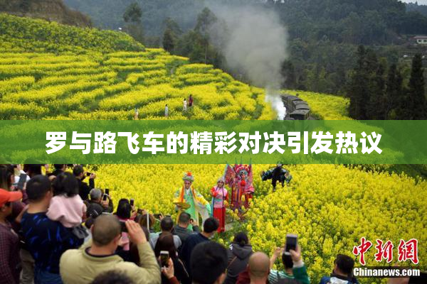 罗与路飞车的精彩对决引发热议
