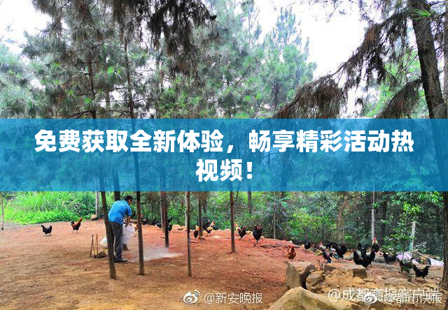 免费获取全新体验，畅享精彩活动热视频！
